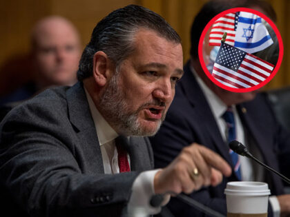 Senator Ted Cruz, a Republican from Texas, during a Senate Judiciary Committee nomination