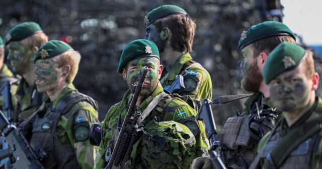 Our Top Priority is Joining NATO, Says Sweden Defence Minister