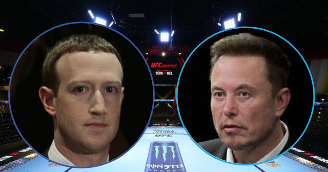 NextImg:Battle of the Billionaires: Cage Match Between Elon Musk and Mark Zuckerberg Continues to Take Shape
