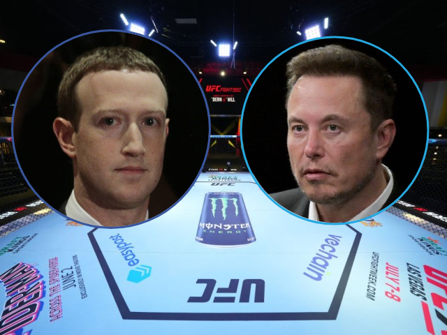 Elon Musk and Mark Zuckerberg in the ring