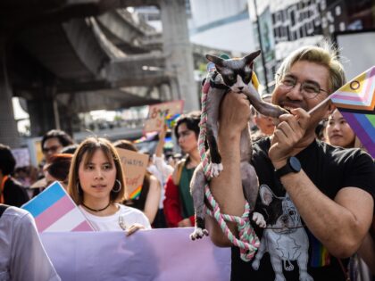 BANGKOK, THAILAND - JUNE 04: An owner makes his cat hold a rainbow flag during a Pride parade on June 04, 2023 in Bangkok, Thailand. Members of the LGBTQ community and allies take part in a Pride month march through central Bangkok. (Photo by Lauren DeCicca/Getty Images)