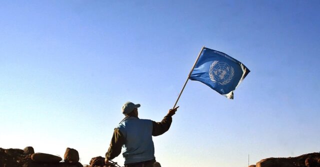 United Nations Staff Arrested for Allegedly Smuggling Cocaine Into Israel
