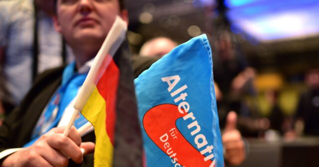 German Populist AfD Overtakes Chancellor Scholz's Social Democrats