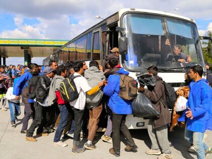 BELGRADE, SERBIA - OCTOBER 5: Refugees, who can't go to Hungarian border, take a bus to return Belgrade during their walk to Hungarian border with Serbia near the region of Indjija in Belgrade, Serbia on October 5, 2016. More than 200 refugees start to move towards to Hungary after Hungarians …