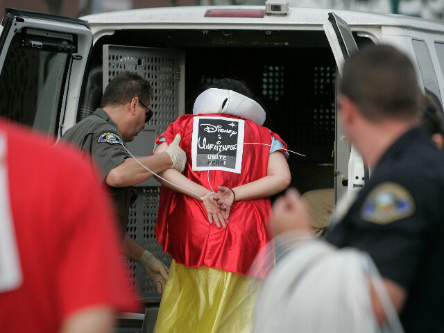 Lachman, Robert –– – (Anaheim, CA) (August 14, 2008) A protester, wearing a Disney l