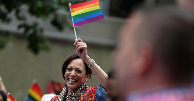 Kamala Harris Hosts Celebrity-Studded Pride Bash as Her Approval Rating Crashes to Historic Low