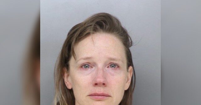 Ohio Woman Accused of Impersonating a CPS Worker and Luring a Child