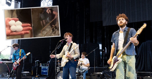 Video: Nealy 100 Injured, 7 Hospitalized in Hail Storm During Louis Tomlinson Concert