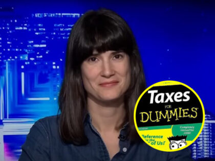 Marie Gluesenkamp Perez, Taxes For Dummies