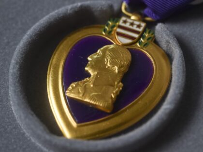 Purple Heart (Ben Hasty/MediaNews Group/Reading Eagle via Getty Images)