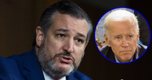 NextImg:Ted Cruz Demands Joe Biden Disclose 'Mystery Source' Who Paid Him $10M