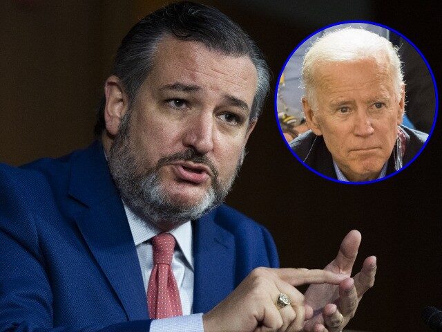 Ted Cruz Joe Biden