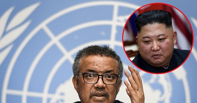 World Health Organization Grants North Korea Spot on Executive Board