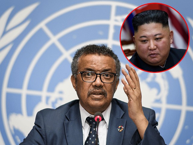 World Health Organization Grants North Korea Spot on Executive Board - Vimarsana News