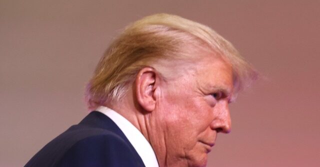 Poll: Donald Trump Grows Lead over Primary Field in South Carolina