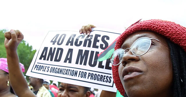 'Time for a Divorce': CA Reparations Task Force Meeting Gets Heated