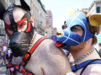 Poll: Fewer Americans View Same-Sex Relations as ‘Morally Acceptable’