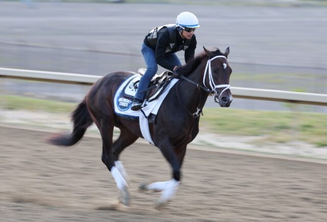 Belmont Stakes favorite Forte with exercise rider Hector Ramos aboard trained Friday at Be