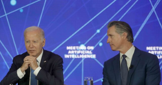 NextImg:Gavin Newsom Defies Own Travel Ban, Stumps for Biden in Idaho