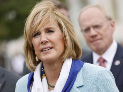 Claudia Tenney (Ting Shen / Bloomberg via Getty)