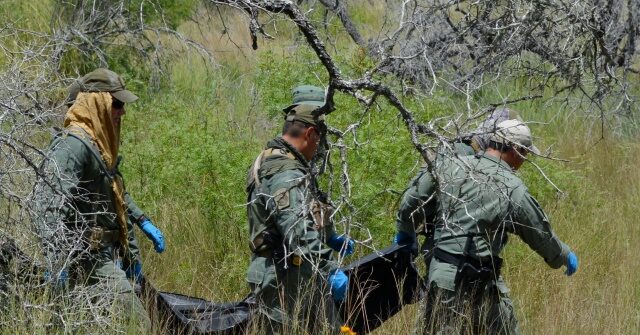 13 Dead Migrants Found in One Week by Border Patrol Agents