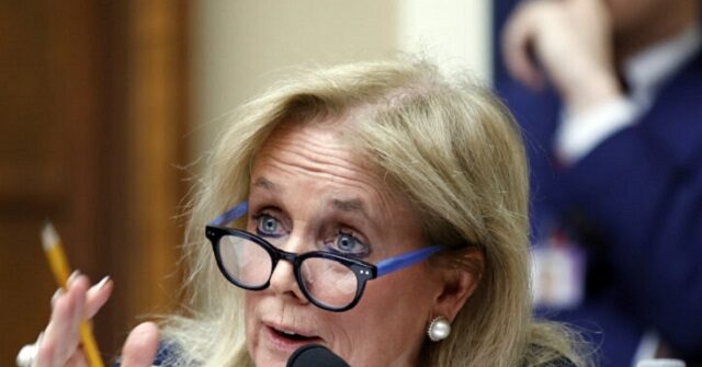 Dem Rep. Dingell: 'Real Work' Needed to Boost Biden in Michigan