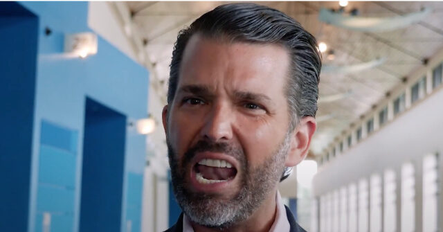 Don Jr.: 'Steep’ Learning Curve in Knowing Who to Surround Yourself With