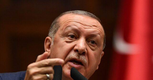 Erdoğan Demands EU Membership Path in Return for Sweden NATO Bid