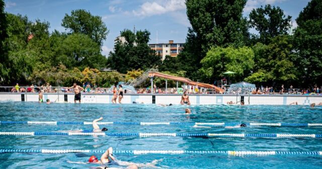 German Swimming Baths Again Terrorised by 'Migrant Background' Men