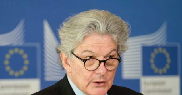 EU Tsar Tells Social Media to Remove Calls for 'Revolt' or Face Ban