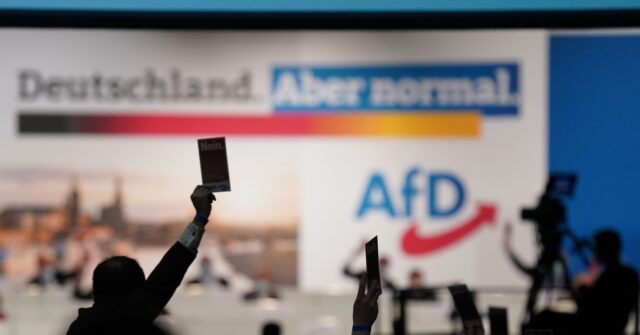 AfD Party Surges in Polls as Support for Populism Rises in Germany