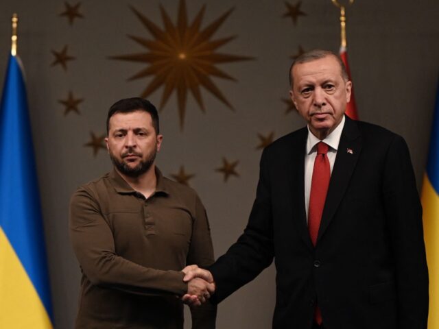 Turkish President Recep Tayyip Erdogan checks hands with Ukrainian President Volodymyr Zel