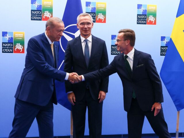 Turkish President Tayyip Erdogan (L) and Swedish Prime Minister Ulf Kristersson shake hand