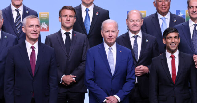 NATO Looks to 'Israel Style' Relationship With Ukraine