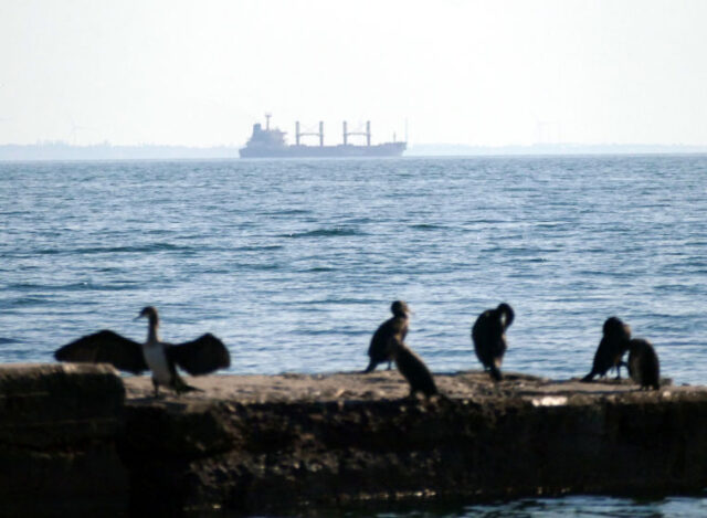 ODESA, UKRAINE - JULY 16, 2023 - The Turkish bulk carrier TQ SAMSUN, loaded with Ukrainian