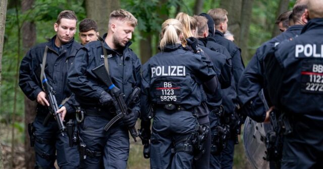 Berlin Say No Danger to Public After Two-Day Hunt for Lioness Around City