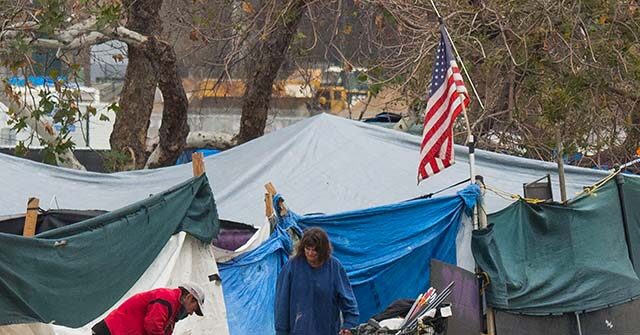 An Above Ground Pool Latest Addition to Seattle Homeless Encampment