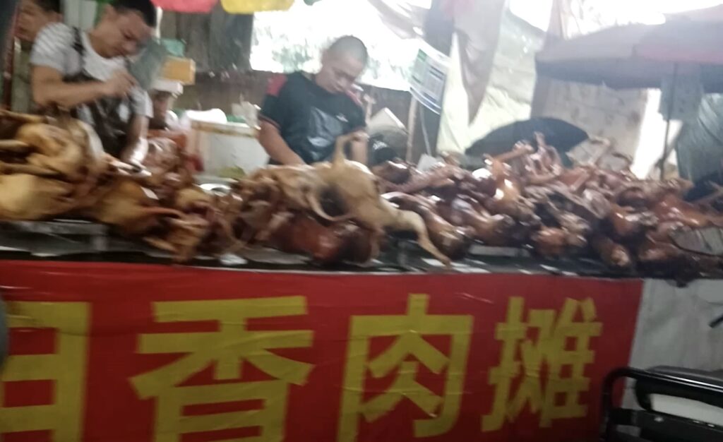 Exclusive Animal Rights Activists China's Gruesome Yulin Dog Meat