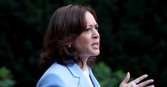 Kamala Harris Drops F-Bomb While Giving Advice: 'Kick That F**king Door Down'