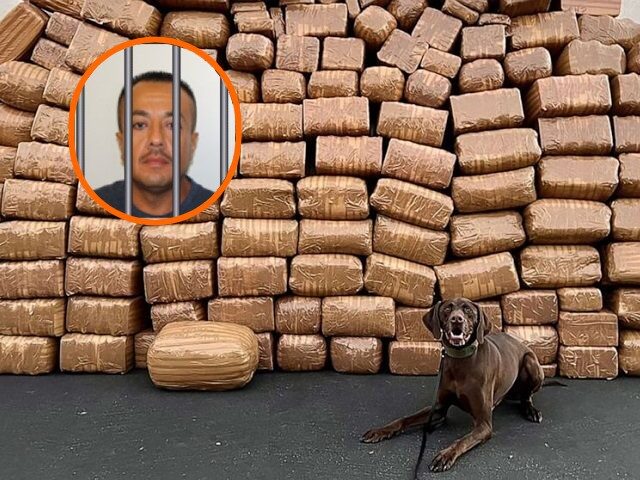 An unnamed drug trafficker arrested by Border Patrol agents in West Palm Beach, Florida. (