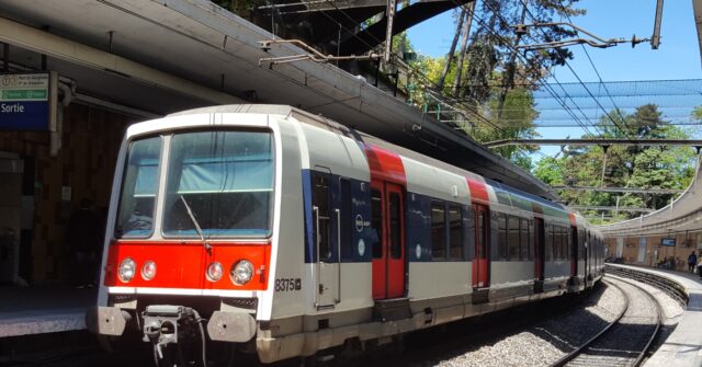 African Migrant Arrested After Woman Pushed in Front of Paris Train