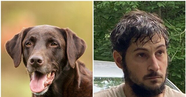 Go Fetch!: Couple's Dog Helps Capture Escaped Inmate in Pennsylvania