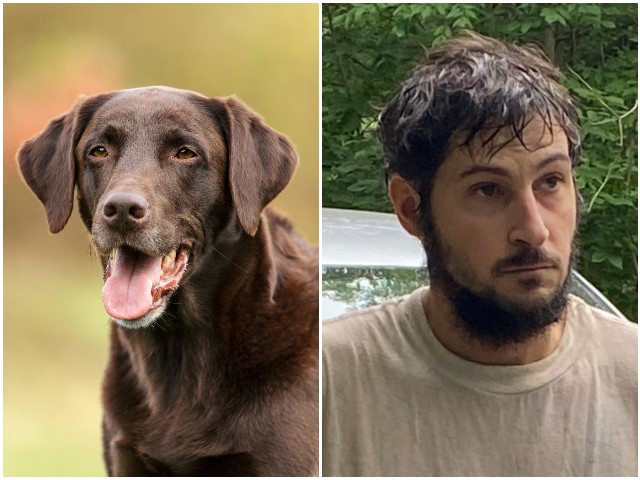 Go Fetch!: Couple's Dog Helps Capture Escaped Inmate in Pennsylvania - Vimarsana News