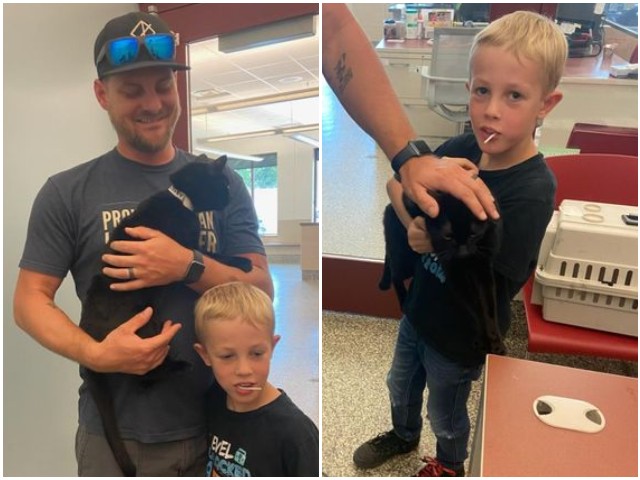 PHOTOS — 'Happy Tails': Missing CO Cat Found 170 Miles from Home - Vimarsana News
