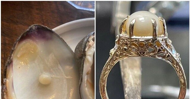 PHOTO: Pearl Found in Clam Dinner Becomes Engagement Ring