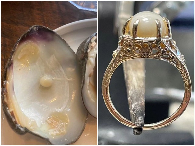 PHOTO: Pearl Found in Clam Dinner Becomes Engagement Ring - Vimarsana News