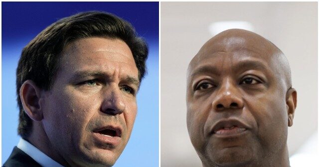 Ron DeSantis Responds to Tim Scott: We 'Fight Back Against the Lies'