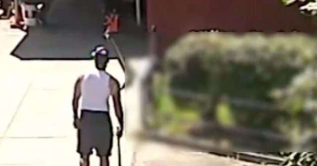 NYPD Searching for Attacker Who Hit Man in Head with Bat in Daylight