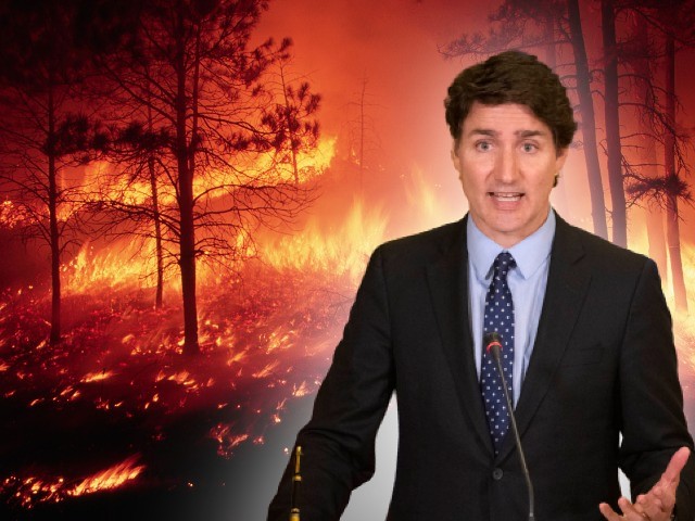 Justin Trudeau's Canada Shrugs, Says Fires Will Rage Through August - Vimarsana News