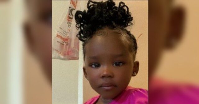 'Heartbreaking': Body of Missing Toddler Found Dumped in Detroit Alley